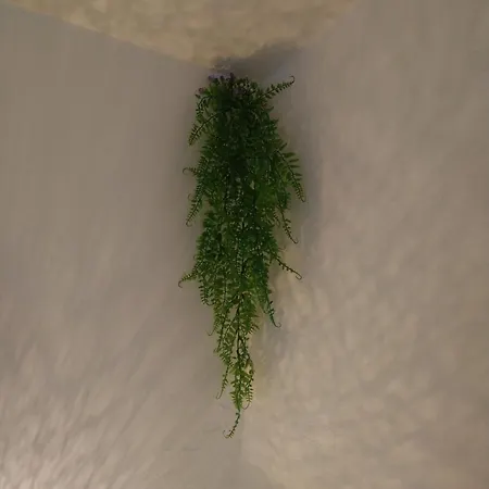 Cozy 2 Bedroom With Terrace Near The Beach And Park * Warna