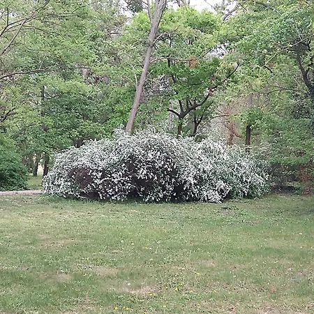 Cozy 2 Bedroom With Terrace Near The Beach And Park Warna