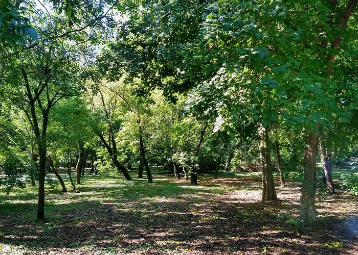 Cozy 2 Bedroom With Terrace Near The Beach And Park Διαμέρισμα *