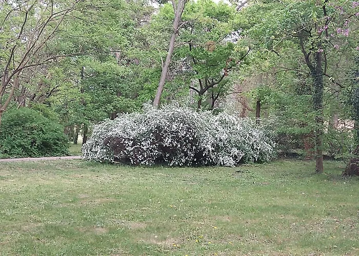 Cozy 2 Bedroom With Terrace Near The Beach And Park Βάρνα