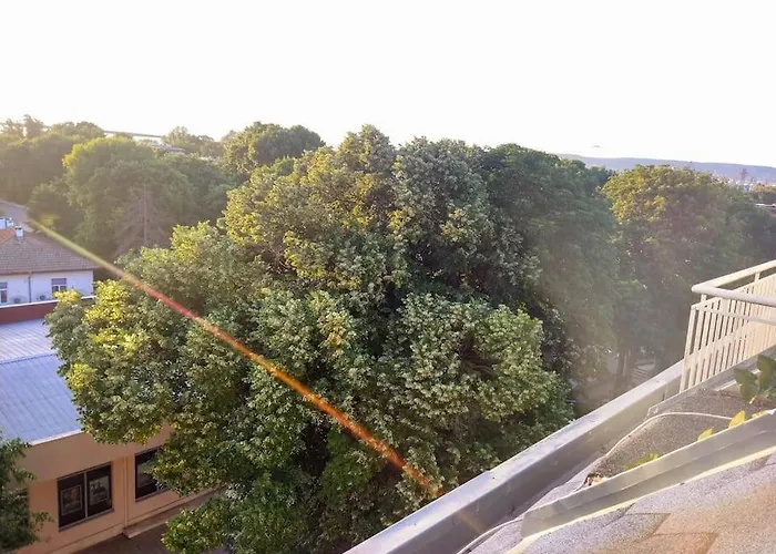 Cozy 2 Bedroom With Terrace Near The Beach And Park