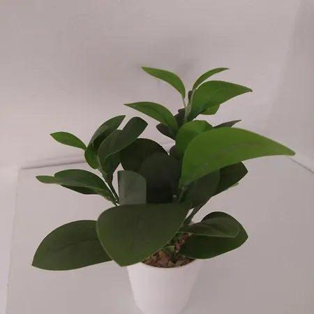 Cozy 2 Bedroom With Terrace Near The Beach And Park Апартаменти *