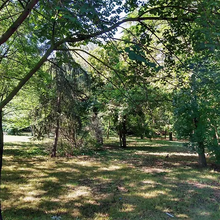 Apartment Cozy 2 Bedroom With Terrace Near The Beach And Park Varna