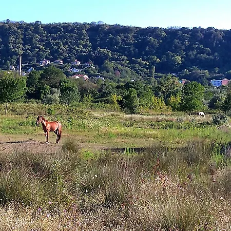 Апартаменти Cozy 2 Bedroom With Terrace Near The Beach And Park Варна