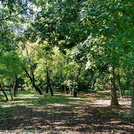 Cozy 2 Bedroom With Terrace Near The Beach And Park Апартаменти *