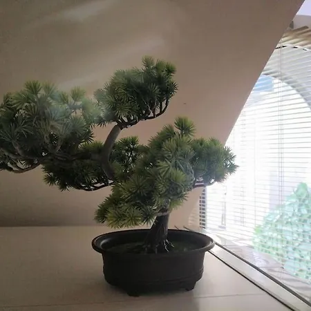 Апартаменти Cozy 2 Bedroom With Terrace Near The Beach And Park *