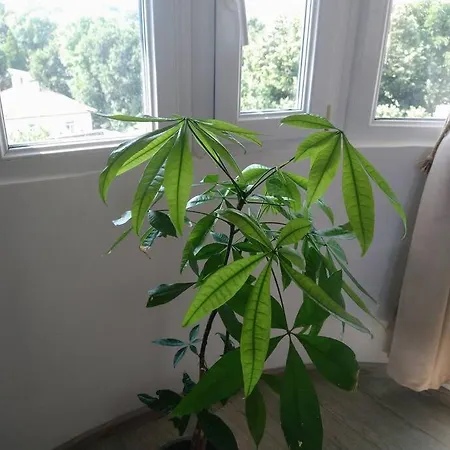 Cozy 2 Bedroom With Terrace Near The Beach And Park Варна