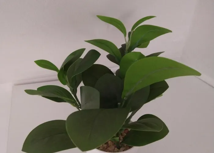 Cozy 2 Bedroom With Terrace Near The Beach And Park 公寓 *