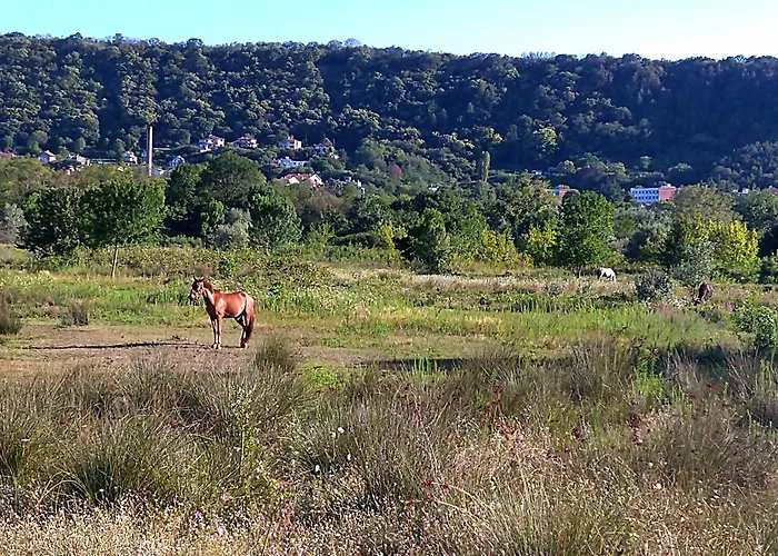 公寓 Cozy 2 Bedroom With Terrace Near The Beach And Park 瓦爾納