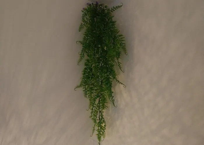 Cozy 2 Bedroom With Terrace Near The Beach And Park * 瓦爾納