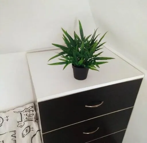 公寓 Cozy 2 Bedroom With Terrace Near The Beach And Park 瓦爾納