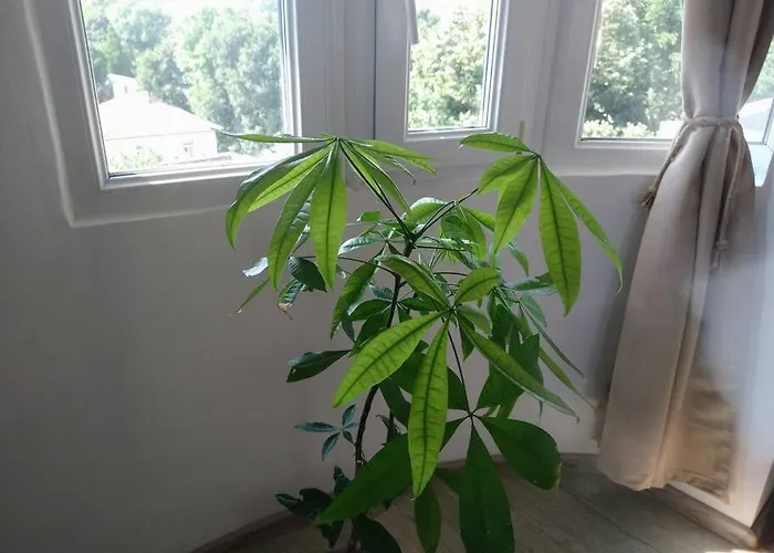 Cozy 2 Bedroom With Terrace Near The Beach And Park 瓦爾納